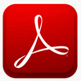 PDF Icon